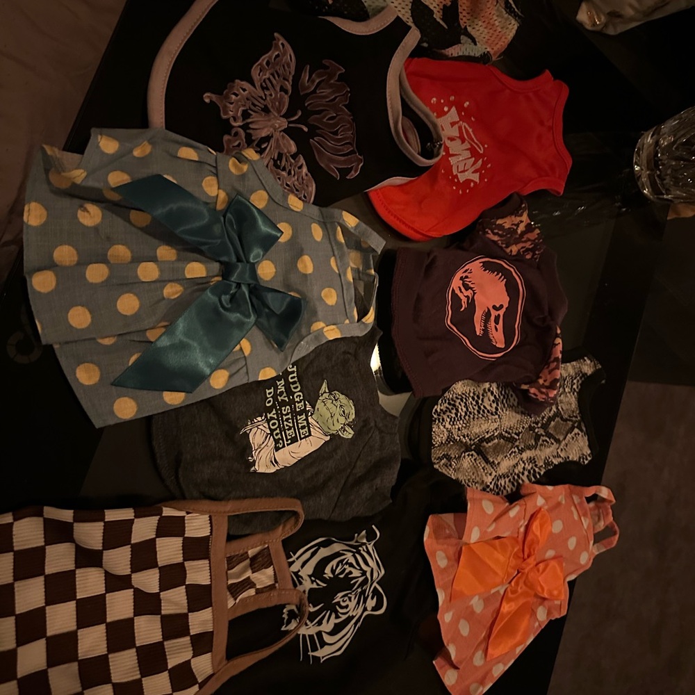 Assorted Pet Outfits with Bows and Patterns like new